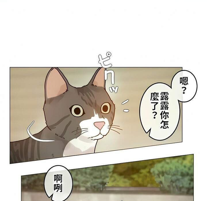 《一個變態的日常生活》在线观看 第72话 漫画图片23