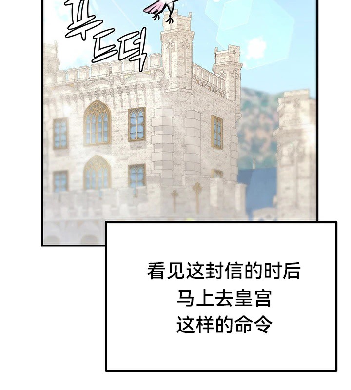 101.jpg