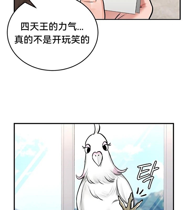 97.jpg