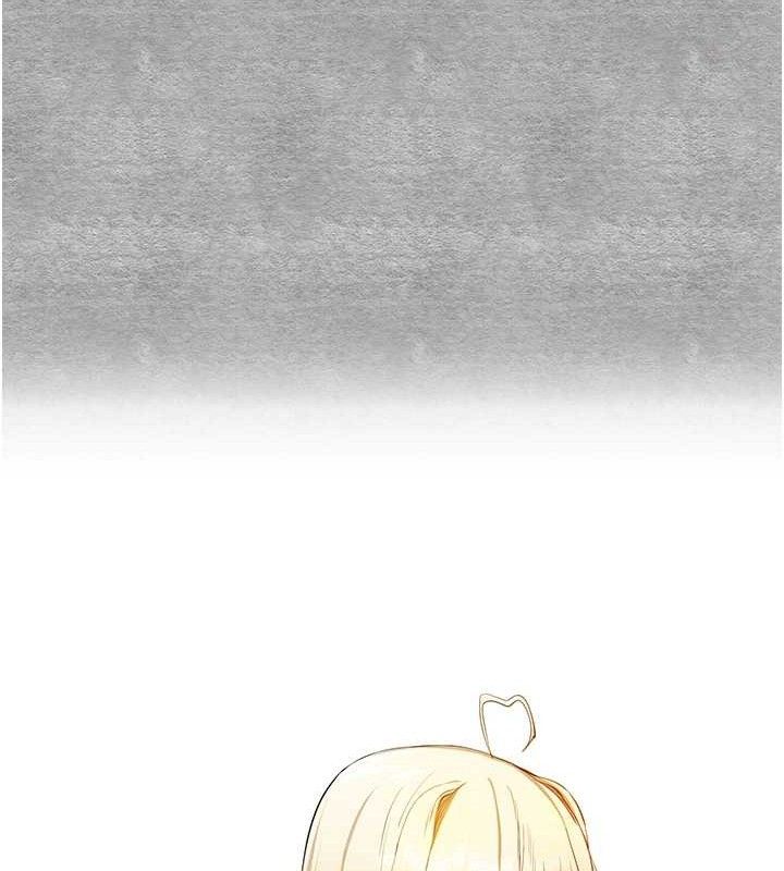 146.jpg