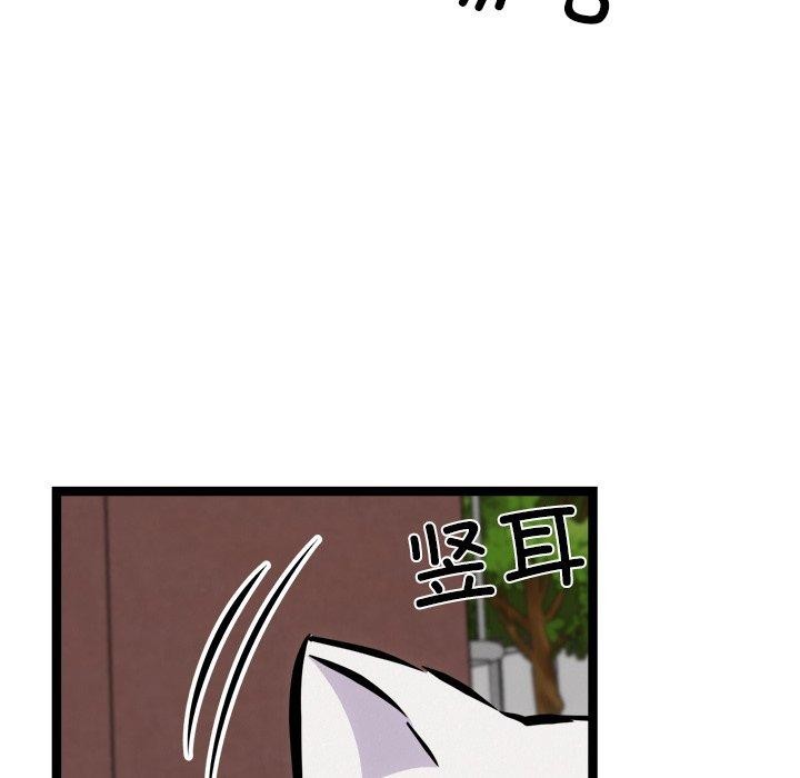 114.jpg